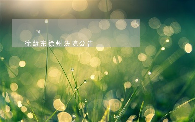徐慧东徐州法院公告