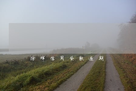 徐晖信用贷款逾期 徐晖信用贷款逾期