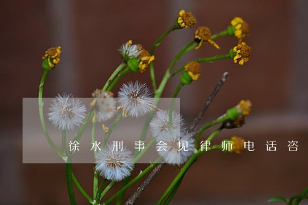 徐水刑事会见律师电话咨询 徐水刑事会见律师电话咨询