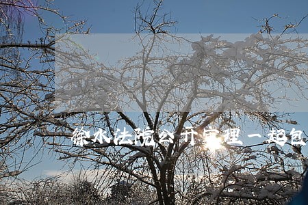 徐水法院公开审理一起包庇案 徐水法院公开审理一起包庇案