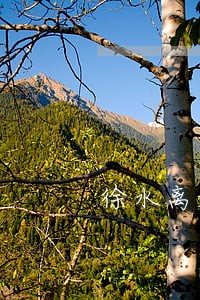 徐水离婚律师快报