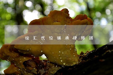 徐汇代位继承律师团 徐汇代位继承律师团