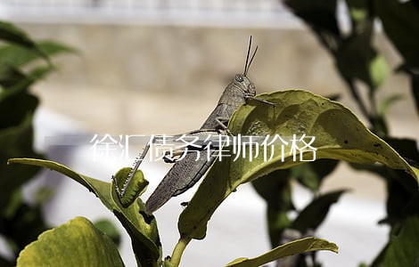 徐汇债务律师价格 徐汇债务律师价格