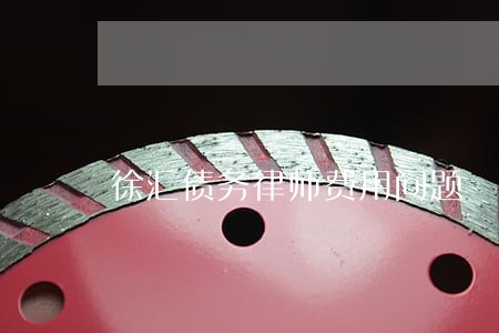 徐汇债务律师费用问题 徐汇债务律师费用问题