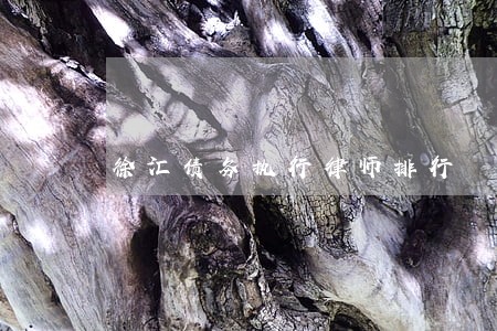 徐汇债务执行律师排行 徐汇债务执行律师排行
