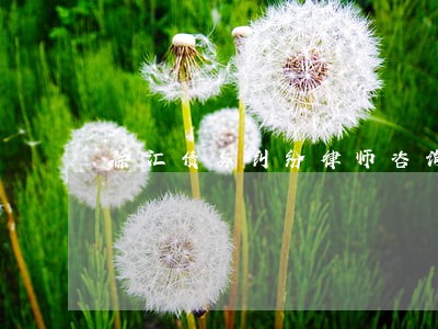 徐汇债务纠纷律师咨询问题 徐汇债务纠纷律师咨询问题