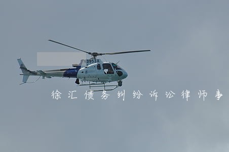 徐汇债务纠纷诉讼律师事务所 徐汇债务纠纷诉讼律师事务所