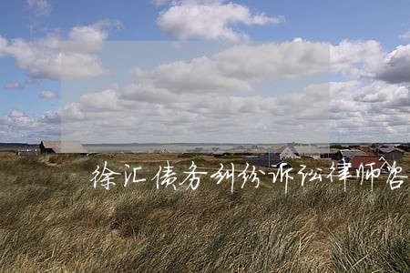 徐汇债务纠纷诉讼律师咨询 徐汇债务纠纷诉讼律师咨询