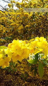 徐汇债务违约纠纷律师 徐汇债务违约纠纷律师