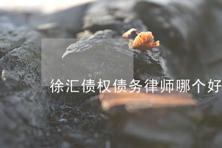 徐汇债权债务律师哪个好 徐汇债权债务律师哪个好