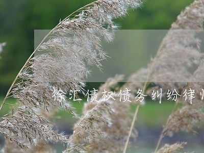 徐汇债权债务纠纷律师哪家好 徐汇债权债务纠纷律师哪家好