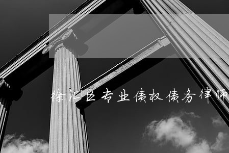 徐汇区专业债权债务律师所 徐汇区专业债权债务律师所