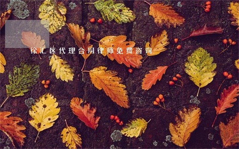 徐汇区代理合同律师免费咨询 徐汇区代理合同律师免费咨询