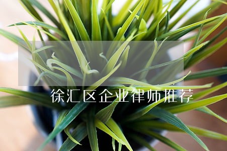 徐汇区企业律师推荐 徐汇区企业律师推荐