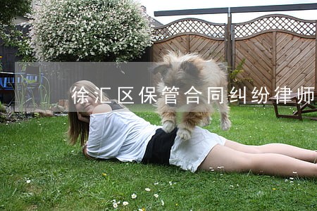 徐汇区保管合同纠纷律师在线 徐汇区保管合同纠纷律师在线