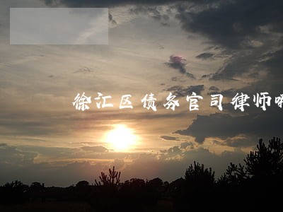 徐汇区债务官司律师哪个好 徐汇区债务官司律师哪个好