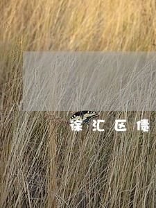 徐汇区债务官司律师法律咨询 徐汇区债务官司律师法律咨询