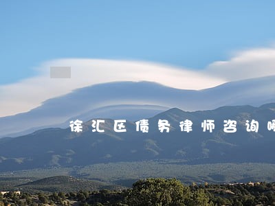 徐汇区债务律师咨询哪家好 徐汇区债务律师咨询哪家好