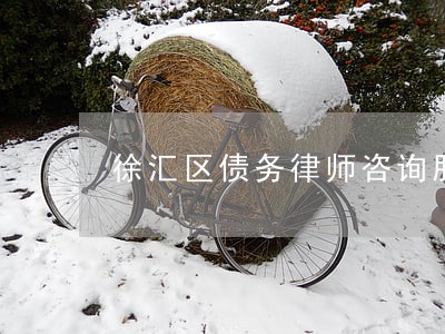 徐汇区债务律师咨询服务 徐汇区债务律师咨询服务