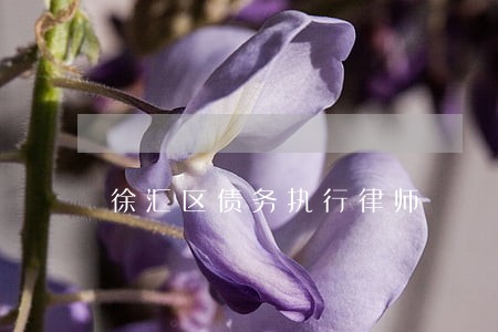 徐汇区债务执行律师