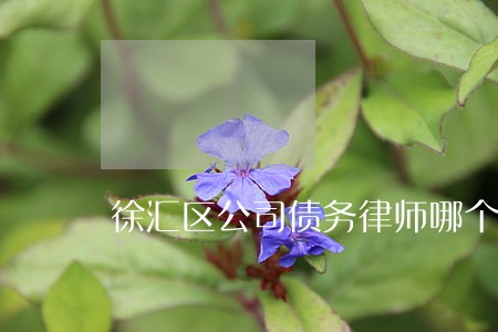徐汇区公司债务律师哪个好 徐汇区公司债务律师哪个好