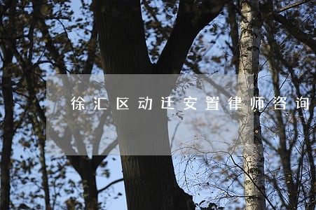 徐汇区动迁安置律师咨询费用 徐汇区动迁安置律师咨询费用