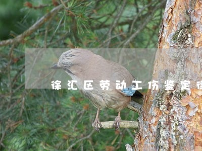 徐汇区劳动工伤鉴定律师顾问 徐汇区劳动工伤鉴定律师顾问