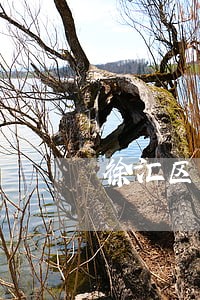 徐汇区劳动维权律师