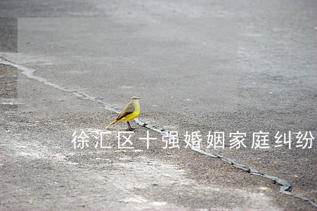 徐汇区十强婚姻家庭纠纷律师排名