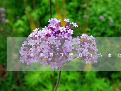 徐汇区口碑好的妨害公务罪律师 徐汇区口碑好的妨害公务罪律师