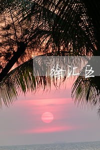 徐汇区外商投资法律师哪个好 徐汇区外商投资法律师哪个好