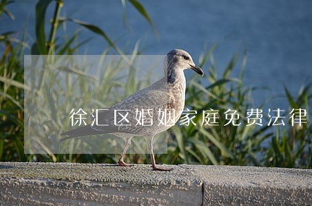 徐汇区婚姻家庭免费法律咨询