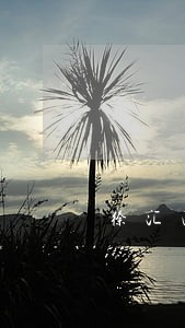 徐汇区拘留保释律师网站来电咨询 徐汇区拘留保释律师网站来电咨询