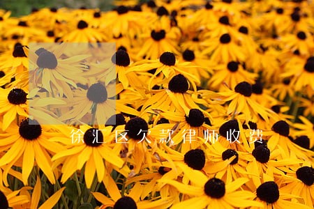 徐汇区欠款律师收费 徐汇区欠款律师收费