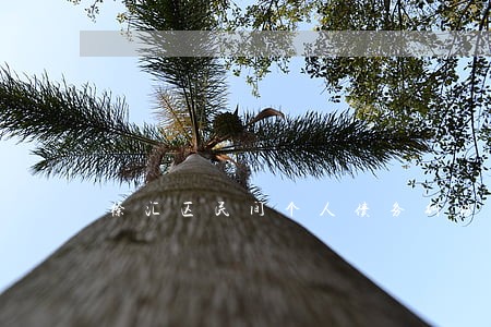 徐汇区民间个人债务纠纷律师推荐 徐汇区民间个人债务纠纷律师推荐