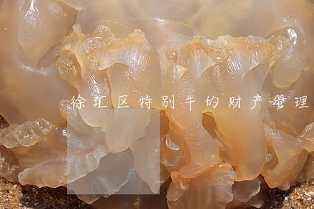 徐汇区特别牛的财产管理律师规定 徐汇区特别牛的财产管理律师规定