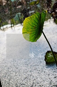 徐汇工程欠款纠纷律师电话咨询 徐汇工程欠款纠纷律师电话咨询