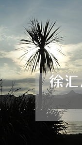 徐汇房产合同律师多少钱 徐汇房产合同律师多少钱