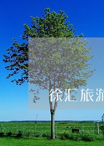 徐汇旅游合同律师顾问服务 徐汇旅游合同律师顾问服务