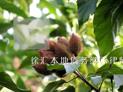 徐汇本地债务继承律师 徐汇本地债务继承律师