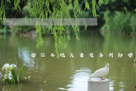 徐汇本地夫妻债务纠纷律师事务所 徐汇本地夫妻债务纠纷律师事务所