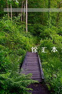 徐汇本地夫妻债务纠纷律师费