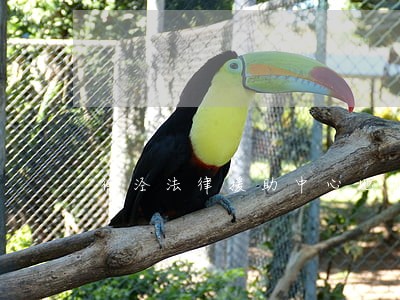 徐泾法律援助中心地址