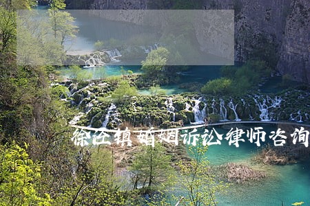 徐泾镇婚姻诉讼律师咨询