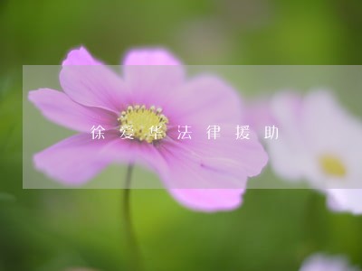 徐爱华法律援助 徐爱华法律援助