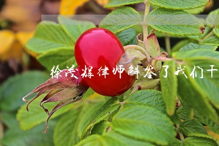 徐茂辉律师解答了我们干工程的 徐茂辉律师解答了我们干工程的