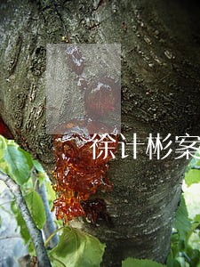 徐计彬案诉讼程序