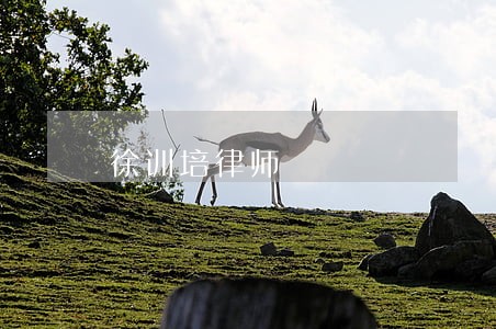 徐训培律师 徐训培律师
