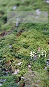 徐闻县娱乐法在线律师咨询 徐闻县娱乐法在线律师咨询