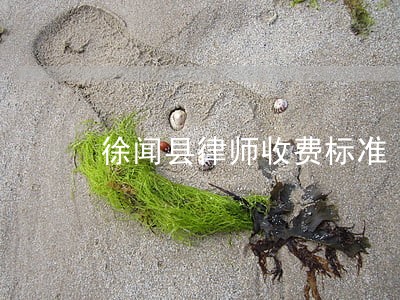 徐闻县律师收费标准 徐闻县律师收费标准